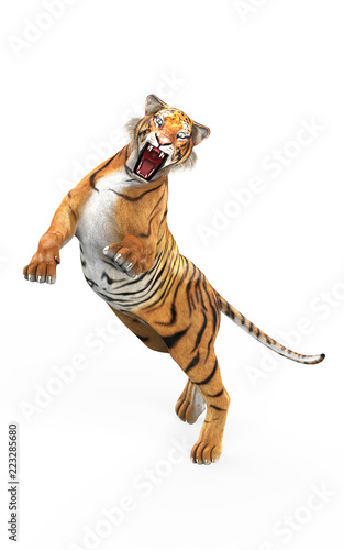 Fototapeta Naklejka Na Ścianę i Meble -  3d Illustration Dangerous Bengal Tiger Roaring and Jumping Isolated on White Background with Clipping Path.