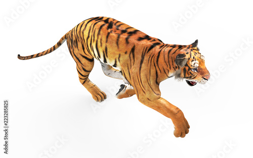 Fototapeta Naklejka Na Ścianę i Meble -  3d Illustration Dangerous Bengal Tiger Roaring and Jumping Isolated on White Background with Clipping Path.