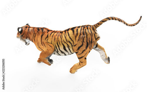 Fototapeta Naklejka Na Ścianę i Meble -  3d Illustration Dangerous Bengal Tiger Roaring and Jumping Isolated on White Background with Clipping Path.