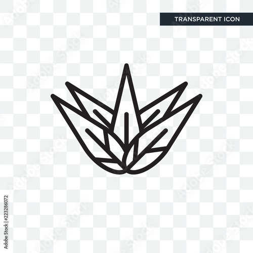 Agave vector icon isolated on transparent background, Agave logo design