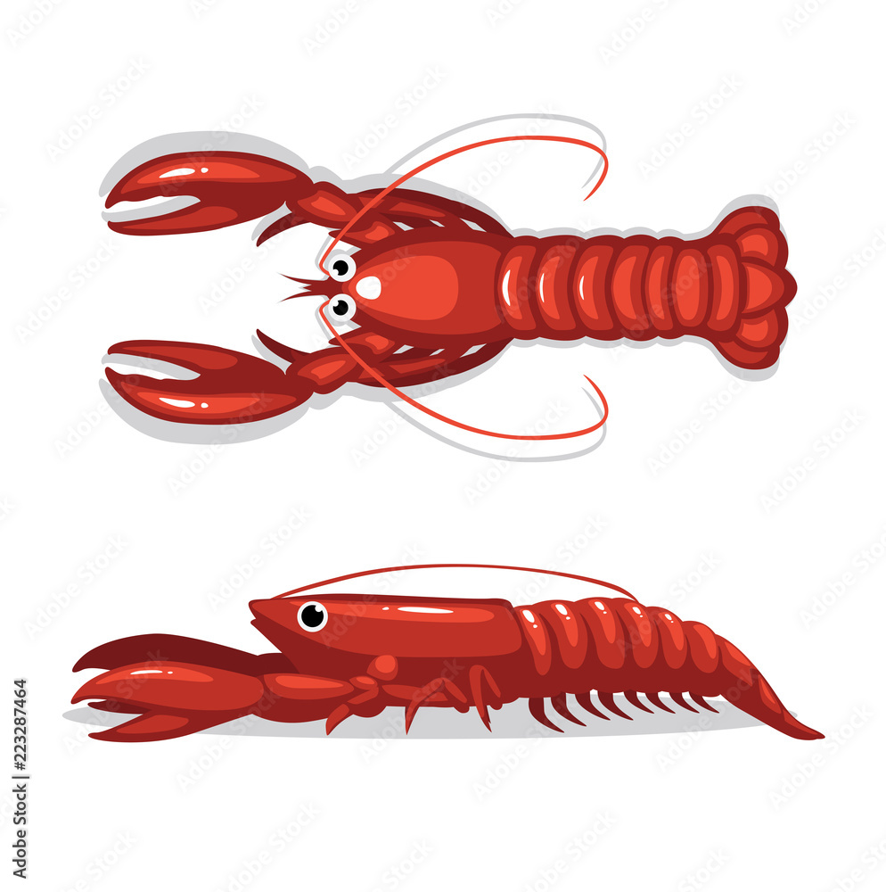håndtering spejder skjold Cute Lobster Top Side View Cartoon Pose Stock Vector | Adobe Stock