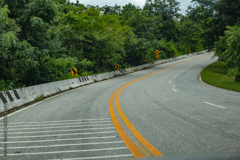 Road bend in forest.