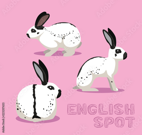 Rabbit English Spot Cartoon Vector Illustration