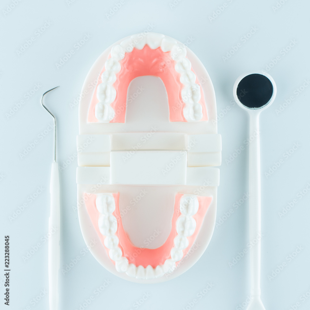 Dental model with dental tool on white background in health care concept.