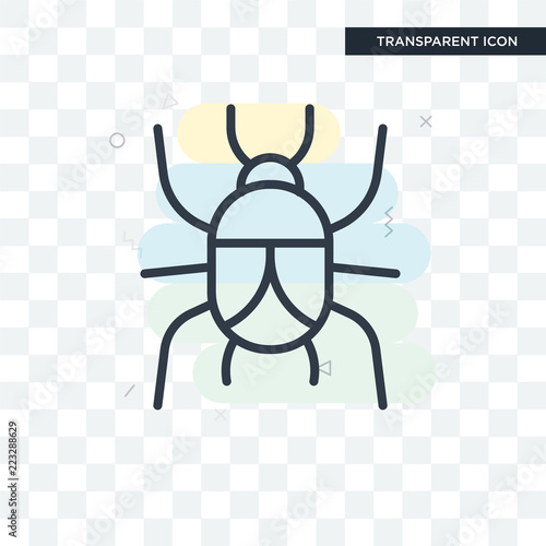 Beetle vector icon isolated on transparent background, Beetle logo design