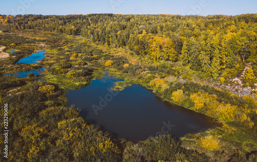 Forest river. Autumn landscape. Taiga forest from aerial view. Vasyugan swamp. Rural landscape