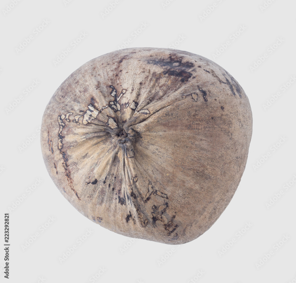 Fototapeta premium coconuts isolated on gray background clipping path