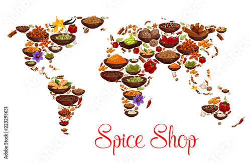 Spices and herbs on vector world map