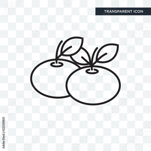 Tangerine vector icon isolated on transparent background, Tangerine logo design