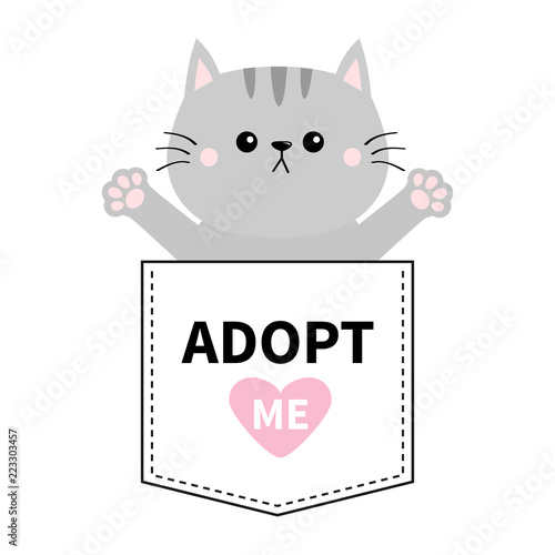 Gray cat hug in the pocket. Adopt me. Pink heart. Cute cartoon animals. Kitten kitty character. Dash line. Pet animal collection. T-shirt design. Baby background. Isolated. Flat design