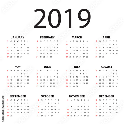 Year 2019 calendar vector design template