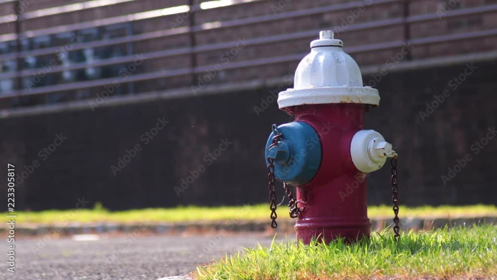 White blue and red fire hydrant framed right building background White blue and red fire hydrant framed right building background