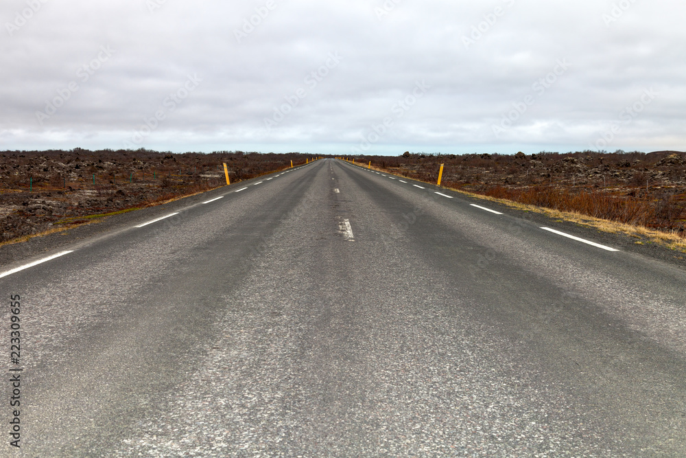 Asphalt road on the beautiful landscape in the east of Iceland.
