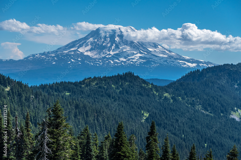 Mount Adam view from the Pacific Crest Trail, Washington