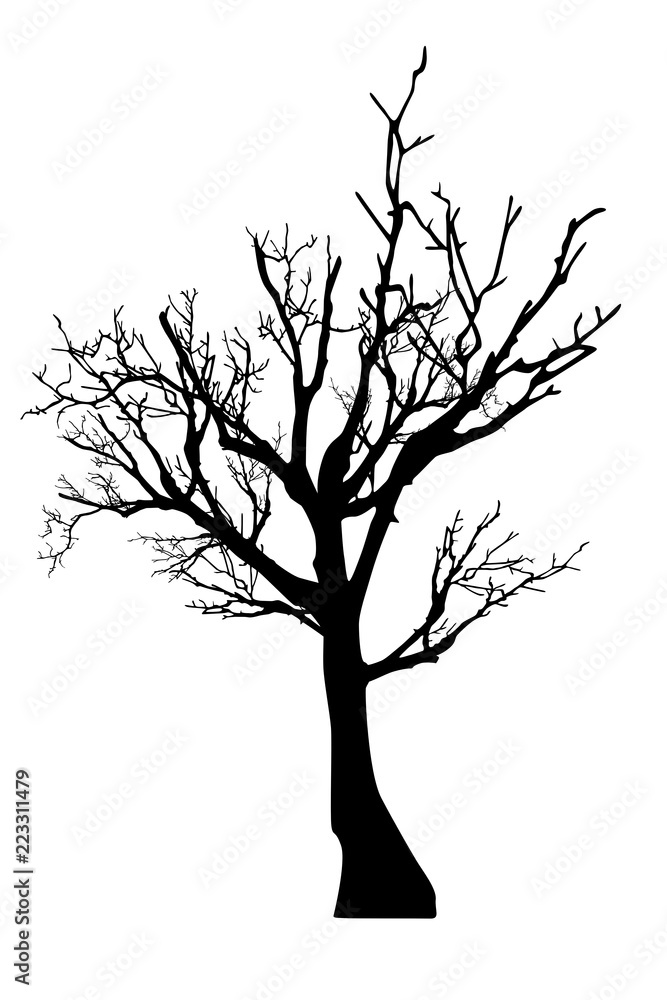 Tree vector isolated on white background. Tree vector isolated on white background.