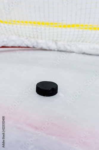 Hockey Net with Puck in Goal