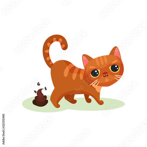 Naughty kitten pooping, mischievous cute little cat vector Illustration on a white background
