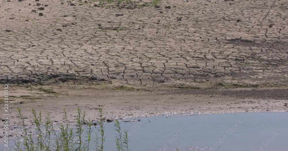 Cracked clay surface of the river bed, as a result of low water level. River Rhine, The Netherlands - summer 2018 Cracked clay surface of the river bed, as a result of low water level. River Rhine, The Netherlands - summer 2018