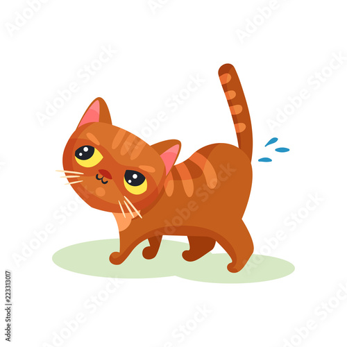 Naughty kitten peeing on the floor, mischievous cute little cat vector Illustration on a white background