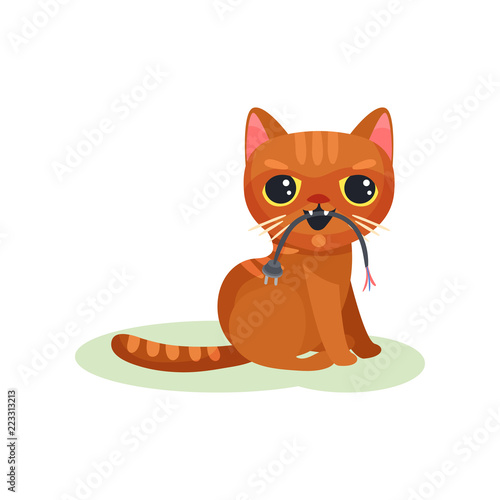 Naughty kitten gnawing wire with plug, mischievous cute little cat vector Illustration on a white background