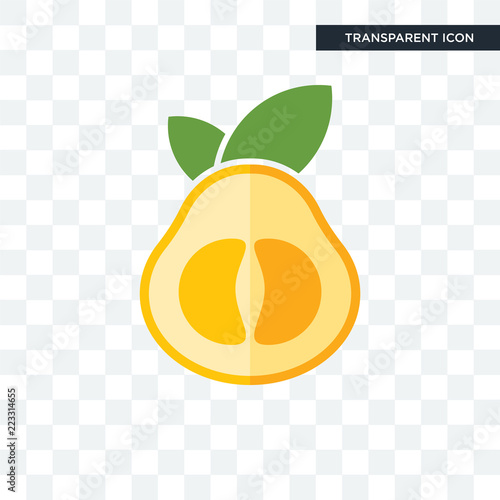 pomelo vector icon isolated on transparent background, pomelo logo design