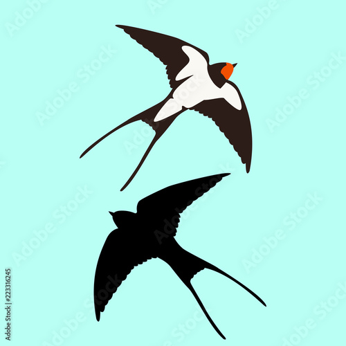 swallow  vector illustration flat style  profile side black 