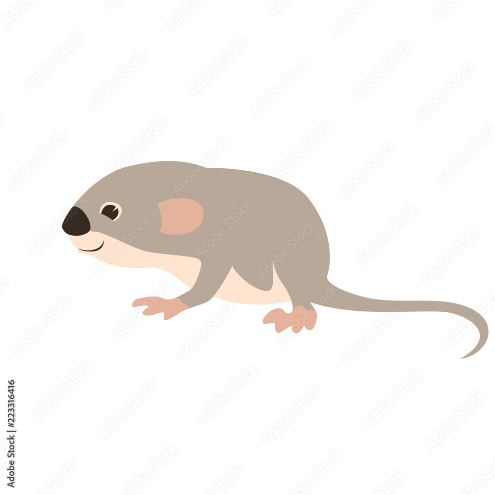 small mouse    vector illustration flat style  profile 
