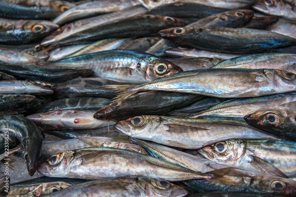 Fischmarkt Fischmarkt