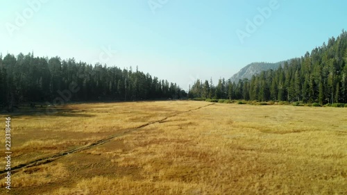 Aerial decent into a yellow dry grassy meadow in the high sierras photo