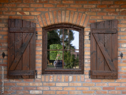 Window with shutters on a brick wall