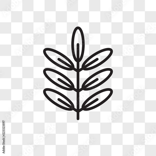Acacia vector icon isolated on transparent background, Acacia logo design