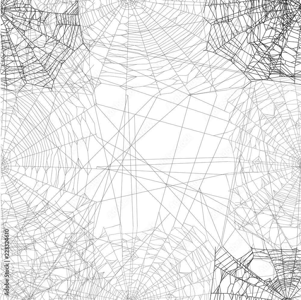 dense grey spider square web