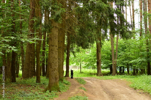 dog walk