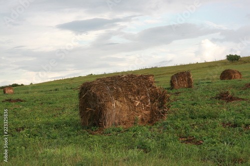кантри (деревенский ) пейзаж, стог сена на поле