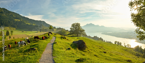 Panoramic view on beautiful Lake Lucerne in Switzerland