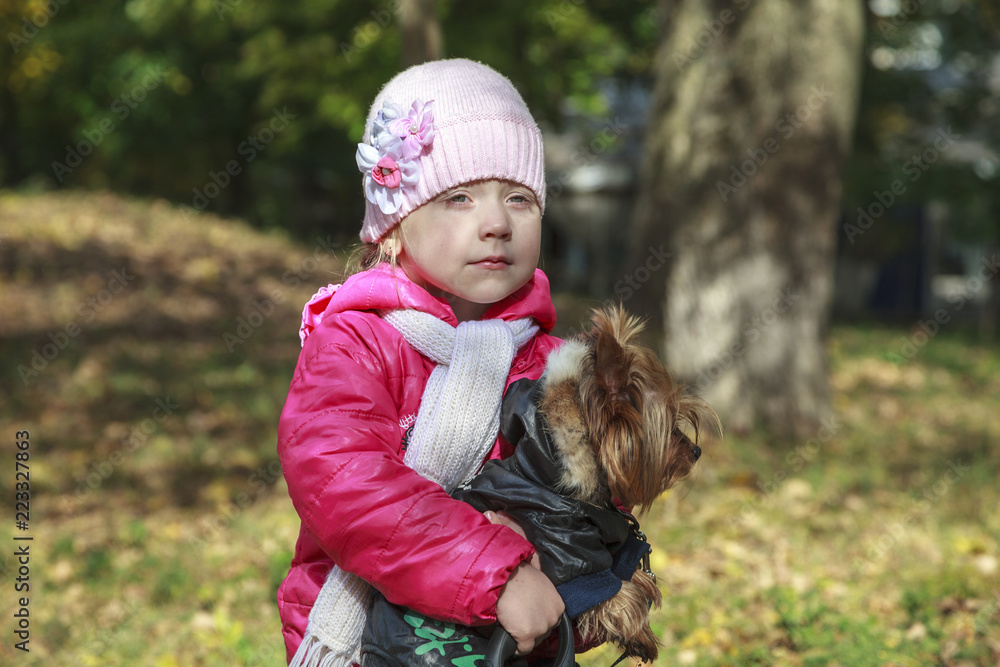 Little girl with yorkshire terrier in autumn park Little girl with yorkshire terrier in autumn park