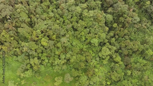 Flying above the canopy of montane rainforest. On the Amazonian slopes of the Andes in Morona Santiago province, Ecuador photo