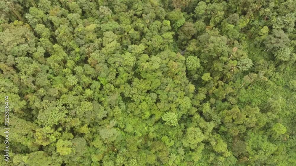Flying above the canopy of montane rainforest. On the Amazonian slopes of the Andes in Morona Santiago province, Ecuador Flying above the canopy of montane rainforest. On the Amazonian slopes of the Andes in Morona Santiago province, Ecuador