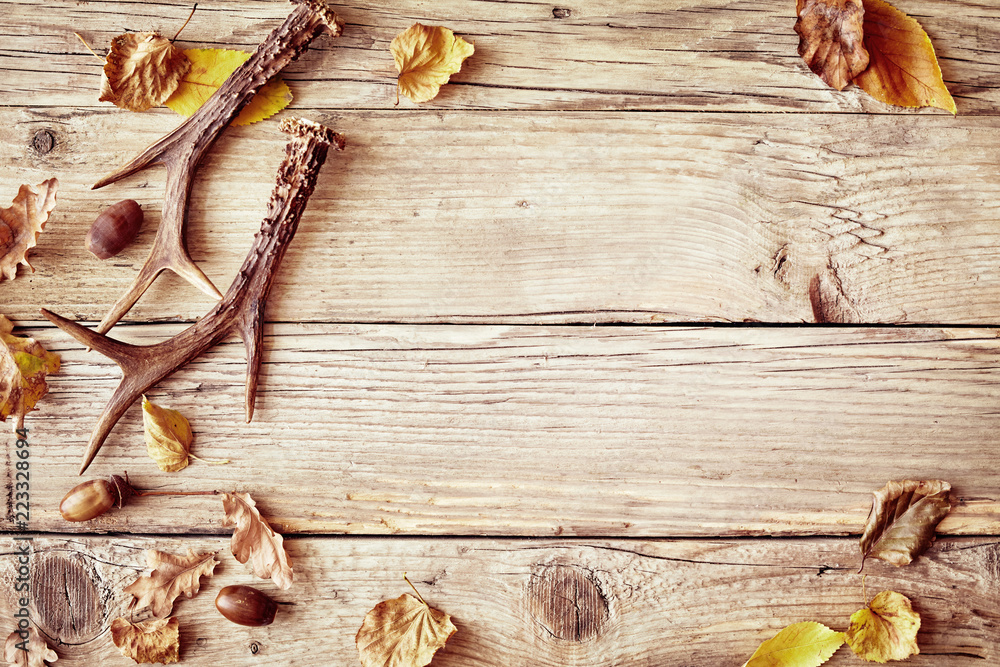 Old rustic wood background with antlers Old rustic wood background with antlers