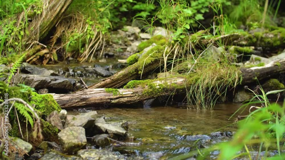 Clean creek in the forest near the waterfall. Summer weather, taiga nature, Russia, Siberia. Clean creek in the forest near the waterfall. Summer weather, taiga nature, Russia, Siberia.