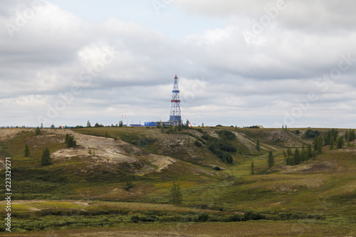 Beautiful landscape of forest-tundra 