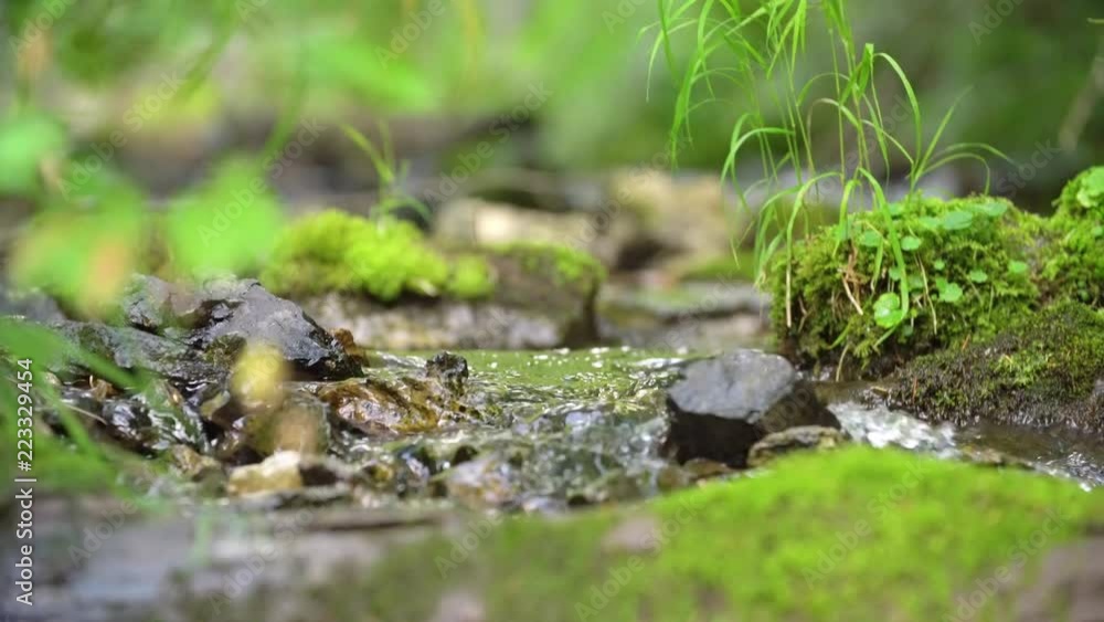Clean creek in the forest near the waterfall. Summer weather, taiga nature, Russia, Siberia. Clean creek in the forest near the waterfall. Summer weather, taiga nature, Russia, Siberia.
