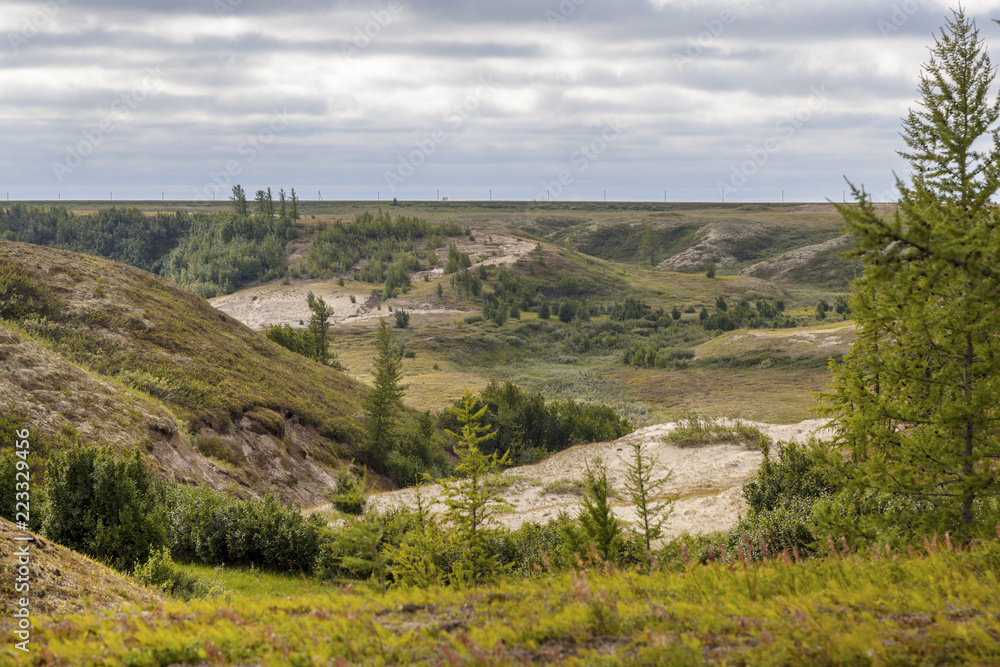 Beautiful landscape of forest-tundra, Beautiful landscape of forest-tundra,
