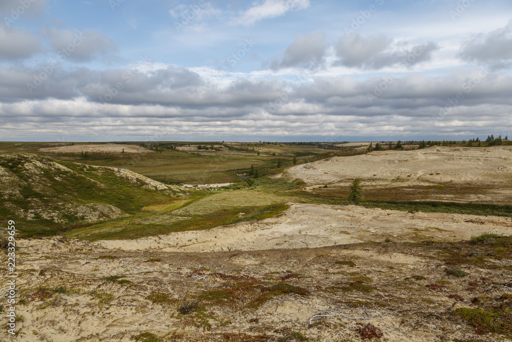 Beautiful landscape of forest-tundra, Beautiful landscape of forest-tundra,