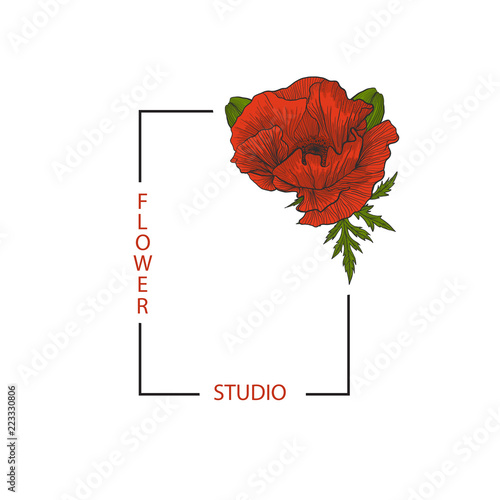 Rectangular frame with text Flower Studio and red poppy for your