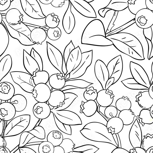 blueberry vector pattern
