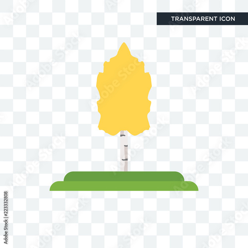 Quaking Aspen tree vector icon isolated on transparent background, Quaking Aspen tree logo design