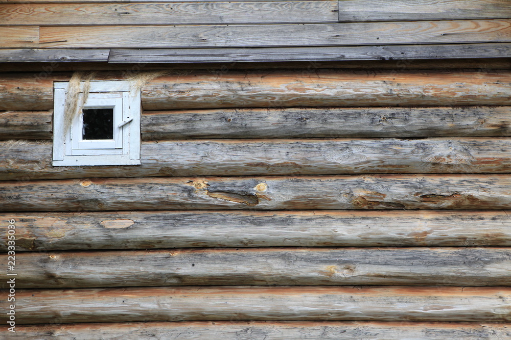 Texture of a tree in the village.