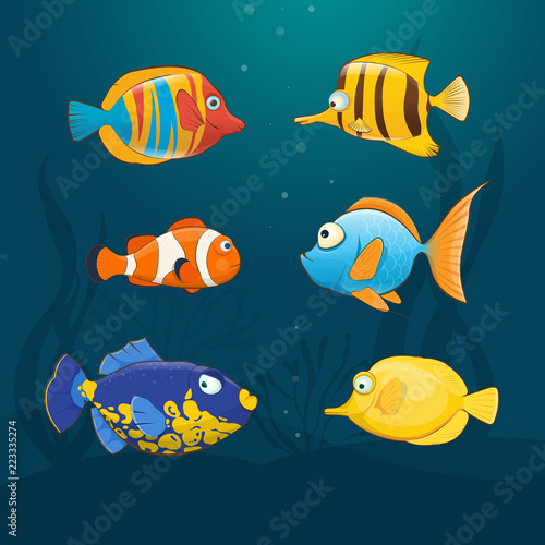 Colorful exotic fishes underwater