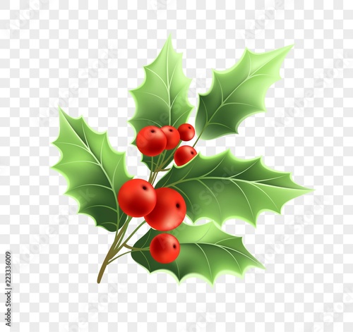 Christmas holly twig realistic illustration